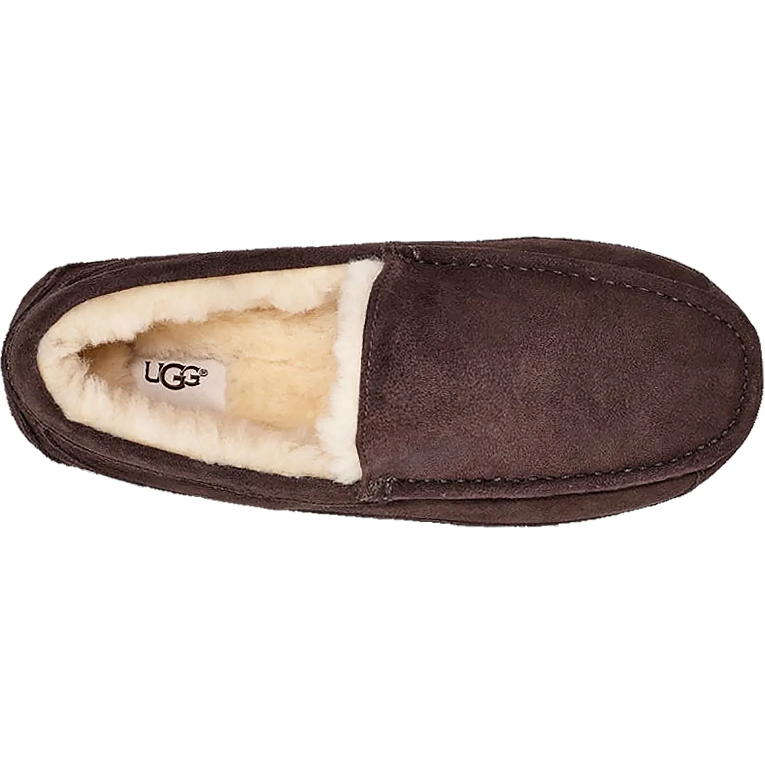 Men's UGG Ascot Espresso Suede