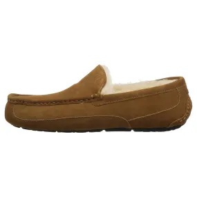 UGG Ascot Suede - Men's