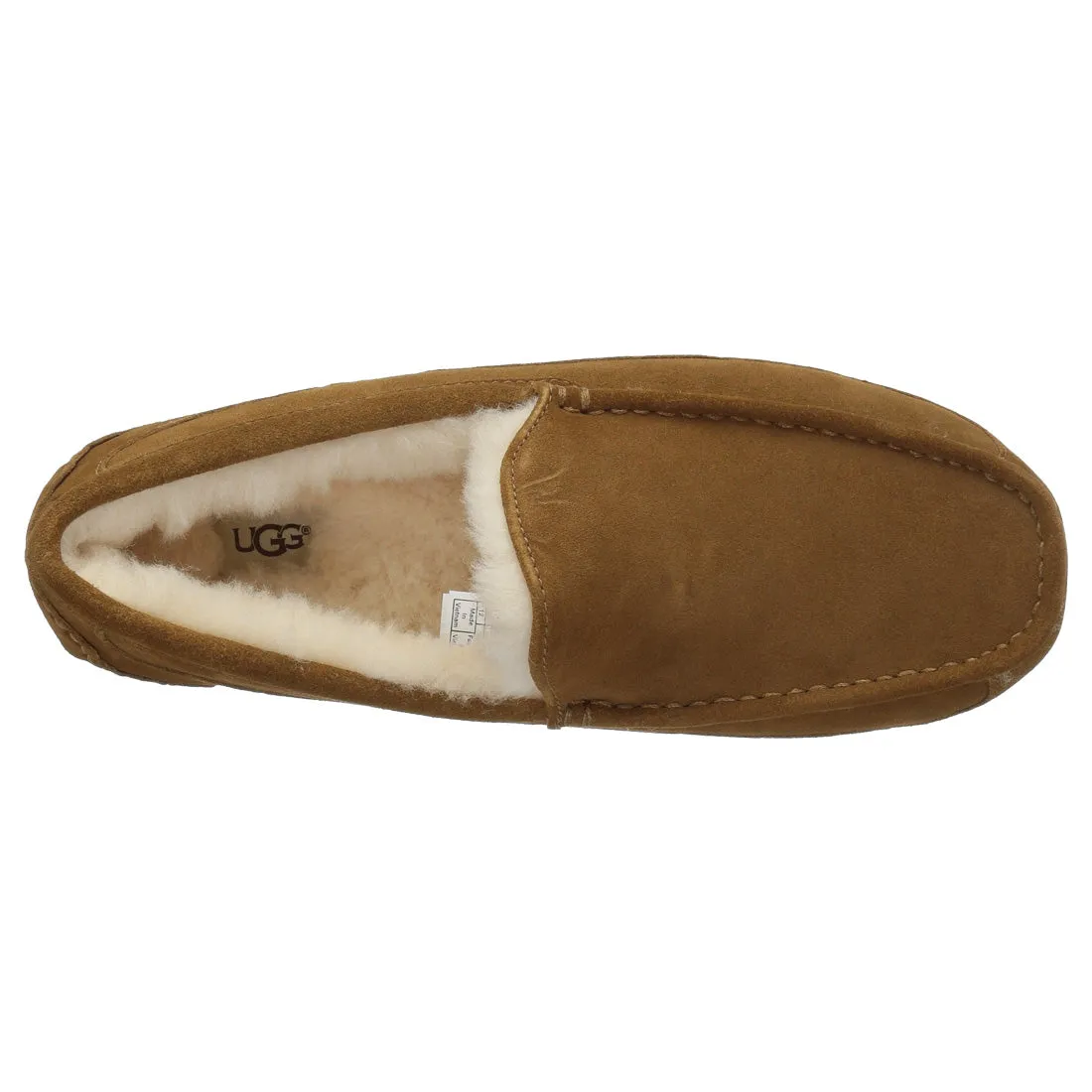 UGG Ascot Suede - Men's